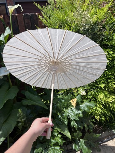 6 White paper umbrellas 