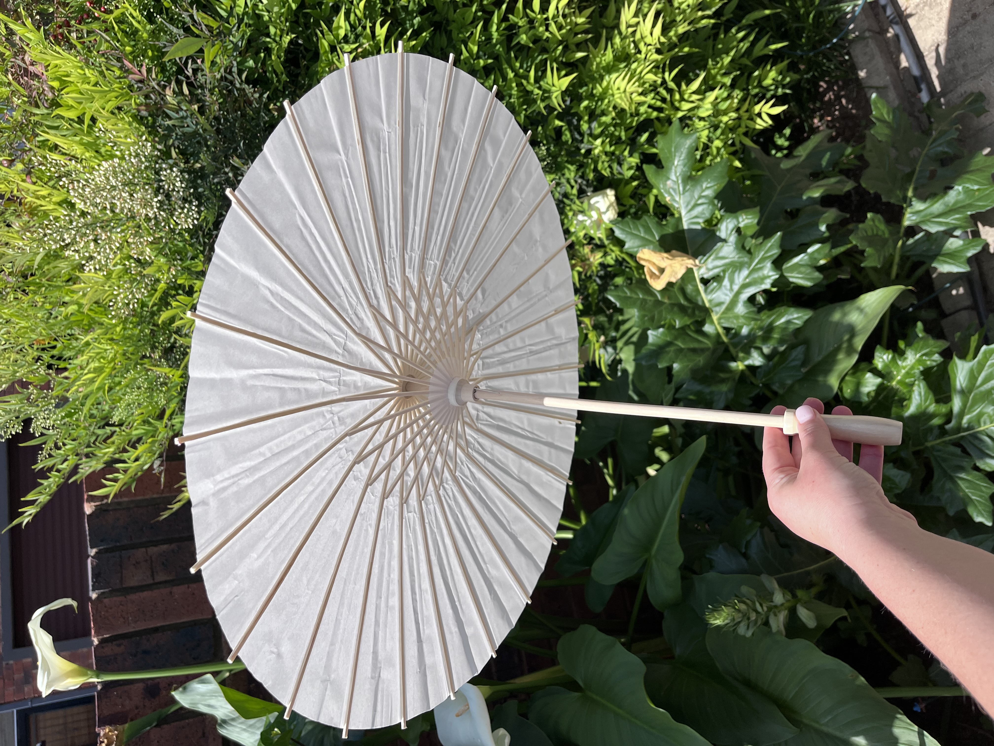 6 White paper umbrellas 