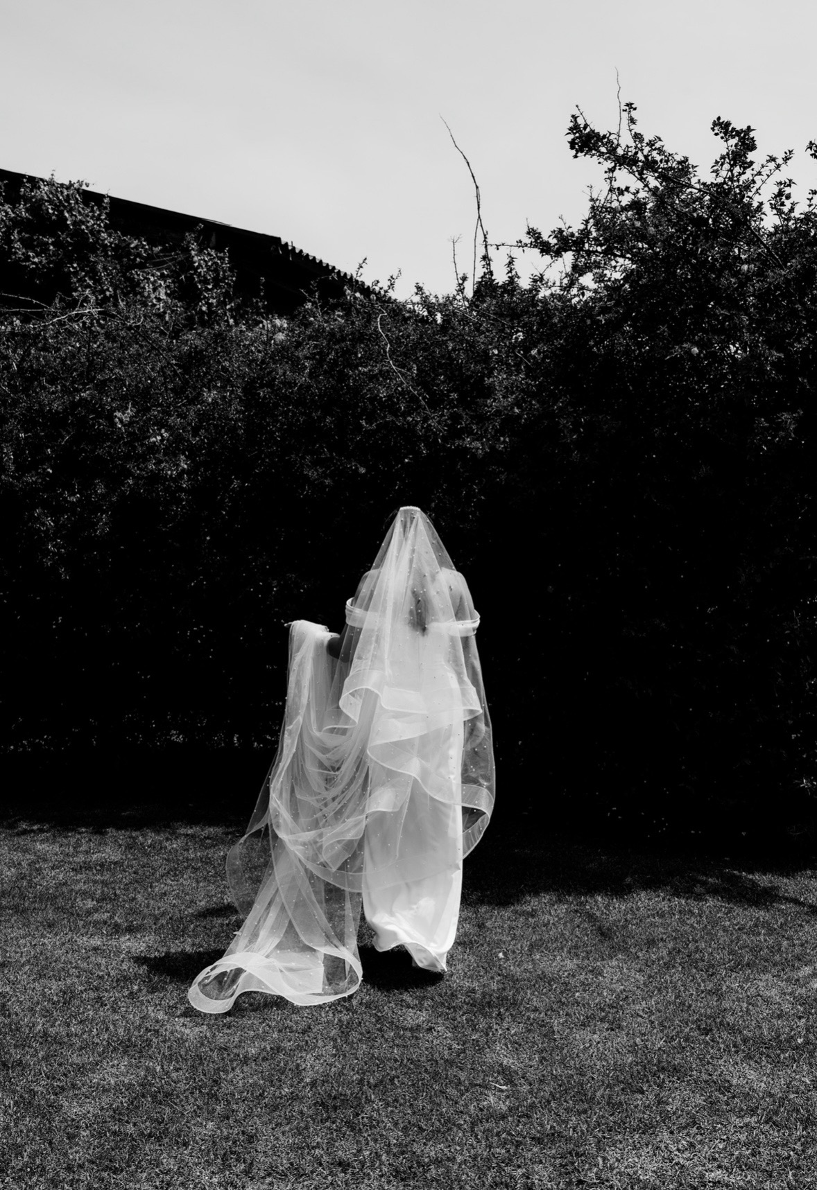Classic Pearl Studded Veil with wide horsehair trim