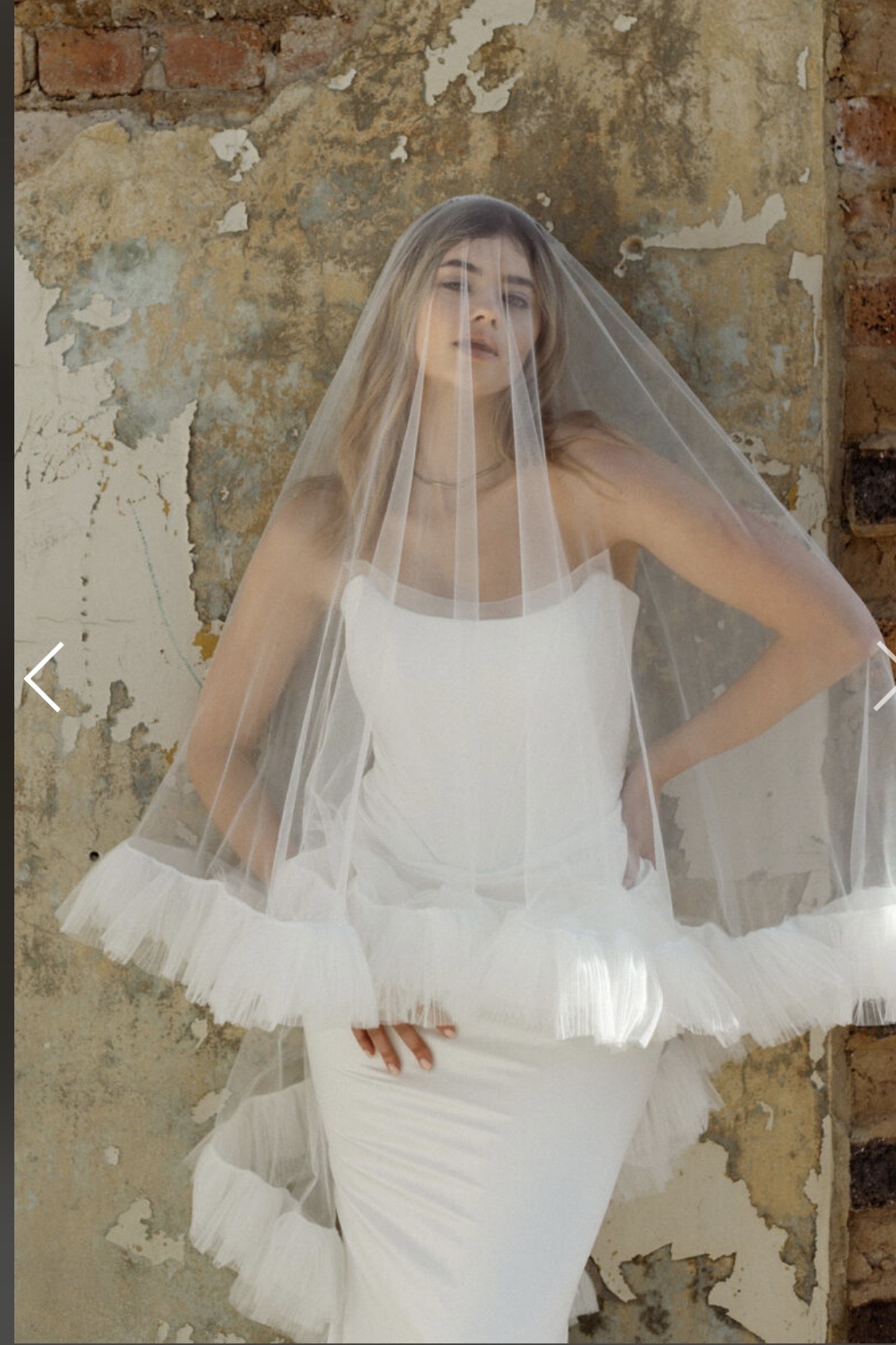 Rosa Karoo Moonlit Veil 