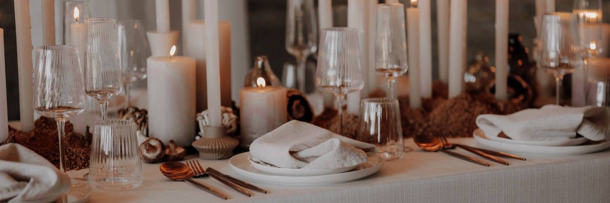 Haus of Willow Banner