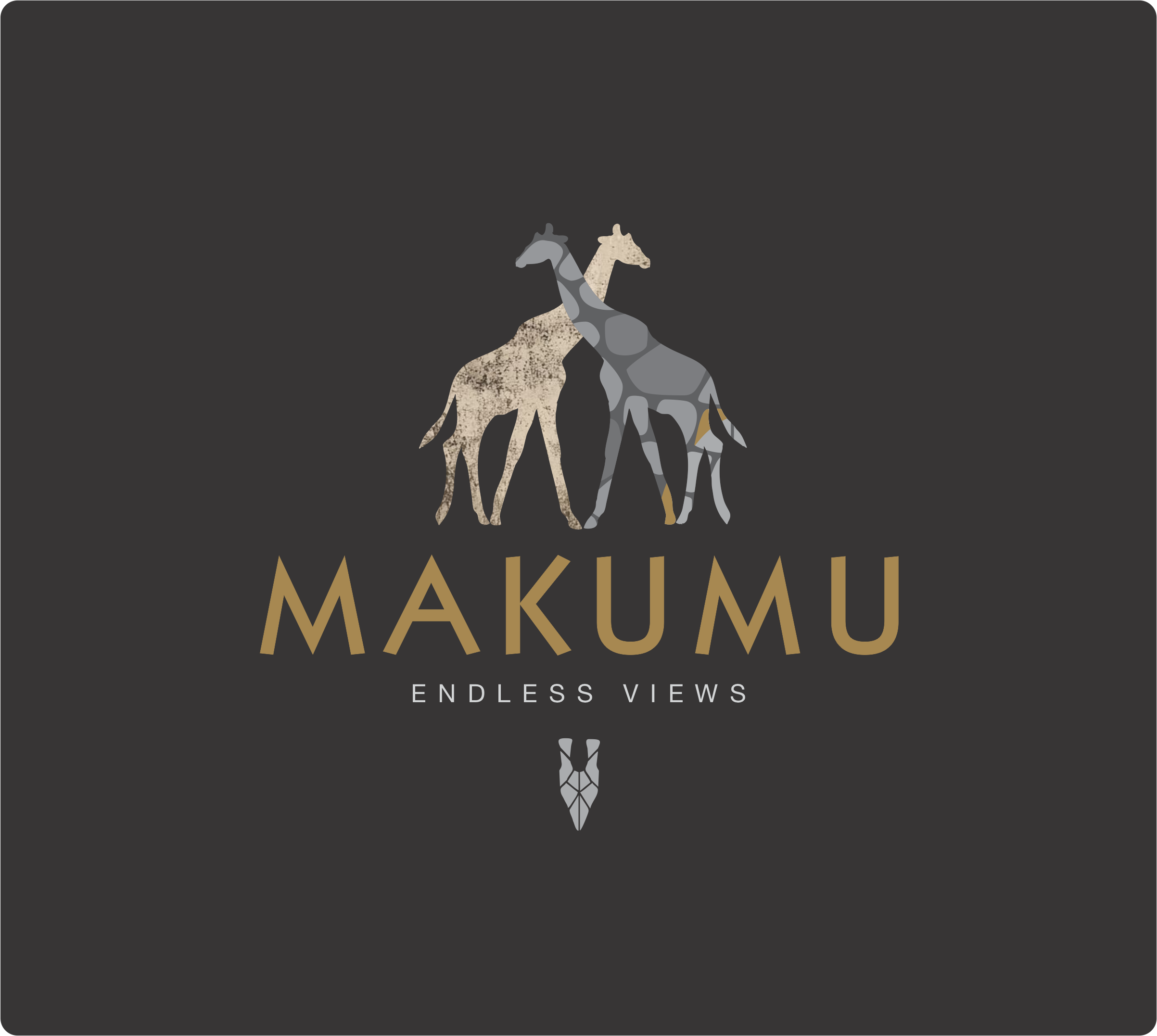 Makumu Private Game Lodge  