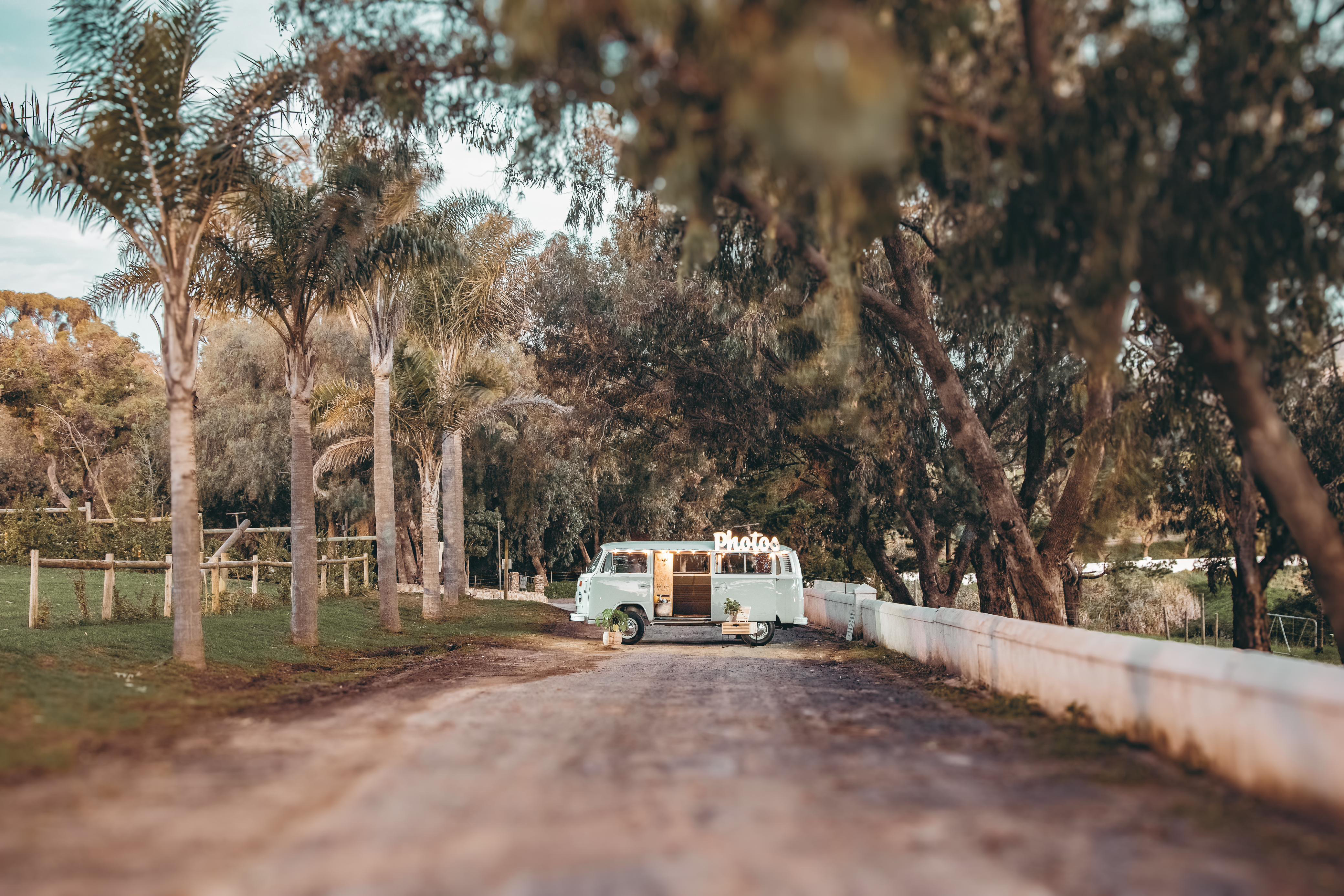 Ollie Photo Bus Banner