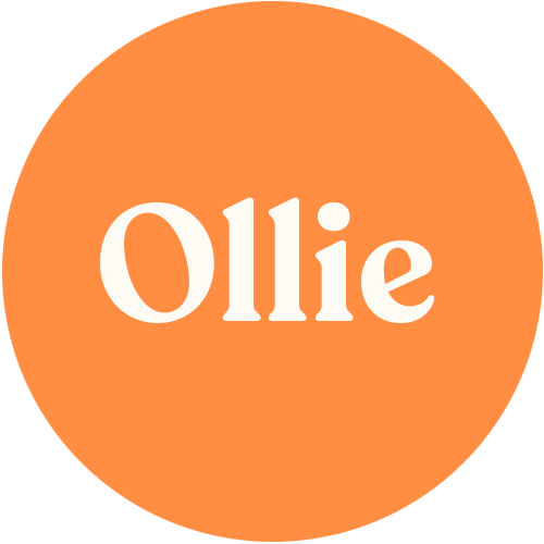 Ollie Photo Bus